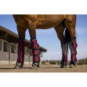 Szállítókamásli cob 1200D bordó Equithéme