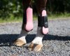 QHP Tendon Boots cob pink