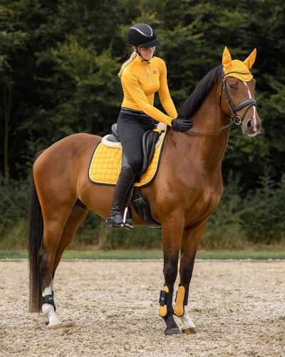 QHP Tendon Boots full sunflower