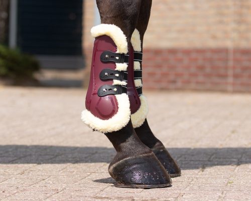 Boots tendon Ontario QHP cob burgundy