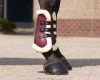 Boots tendon Ontario QHP cob black