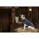 Rug dog Diego&Louna 40 cm navy