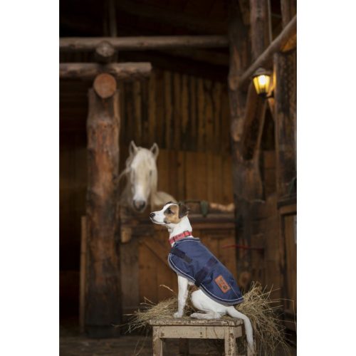 Rug dog Diego&Louna 50 cm navy