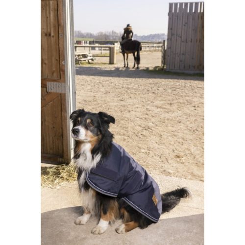 Rug dog Diego&Louna 50 cm navy