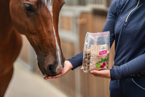 Jutalomfalat Bense & Eicke Happies almás-céklás 1 kg