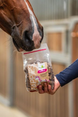 Jutalomfalat Bense & Eicke Happies málnás 1 kg