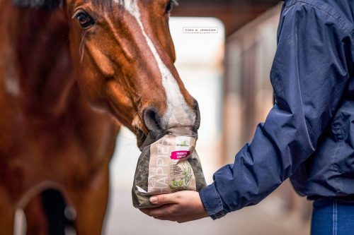 Leckerli Bense & Eicke Meadow Happies rosehip-linseed 1 kg