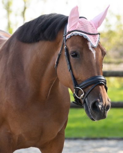 Ear net QHP colour full pink