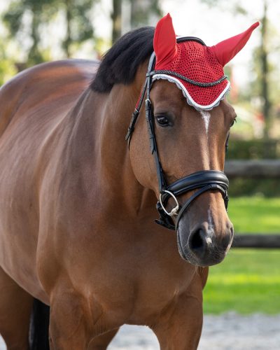Ear net QHP colour shetland red