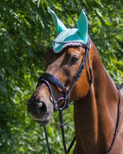 Ear net QHP colour full ice green