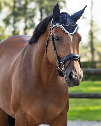 Ear net QHP colour cob navy blue