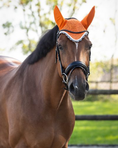 Ear net QHP colour cob orange