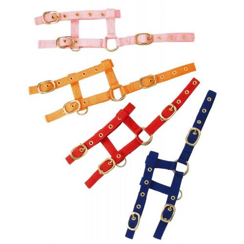 Kötőfék Ekkia mini csikó pink - PÓNI csikóra