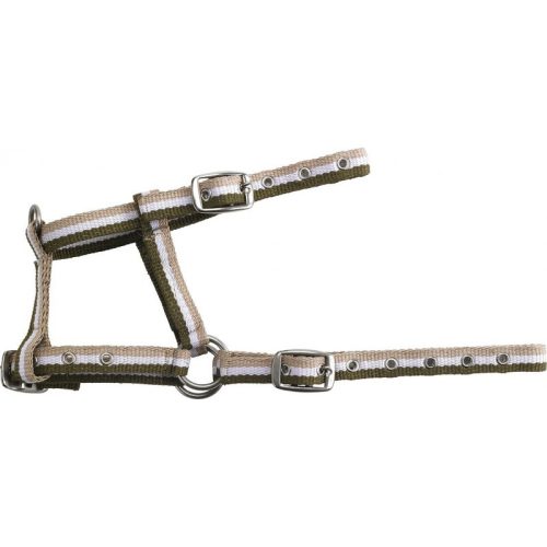 Halter foal red/yellow