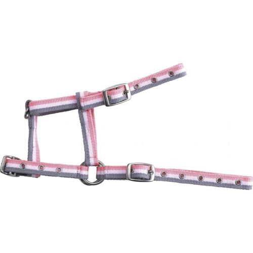 Halter foal red/yellow