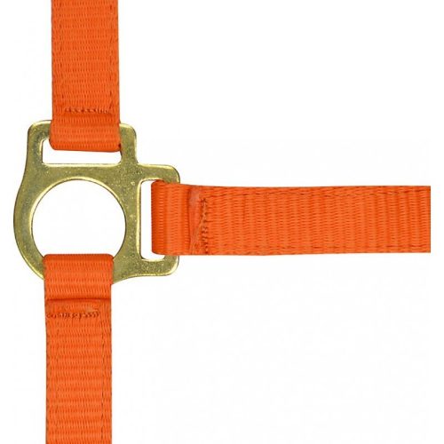 Halter Ekkia foal nylon navy