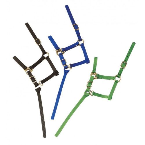 Halter Ekkia foal nylon dark green