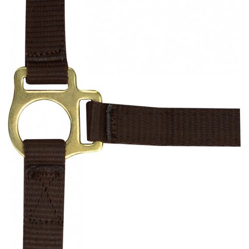 Halter Ekkia foal nylon dark green