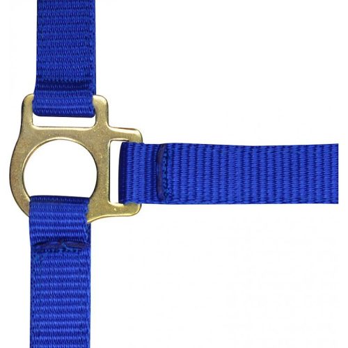 Halter Ekkia foal nylon dark green