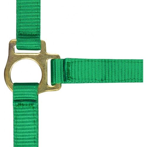 Halter Ekkia foal nylon dark green