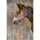 Halter Ekkia foal nylon purple