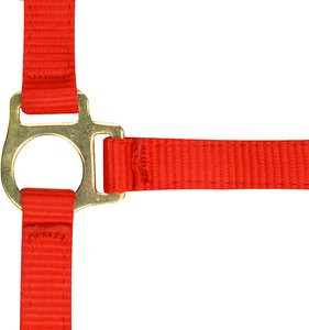 Halter Ekkia foal nylon pink