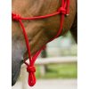 Rope halter Ekkia First knotted red