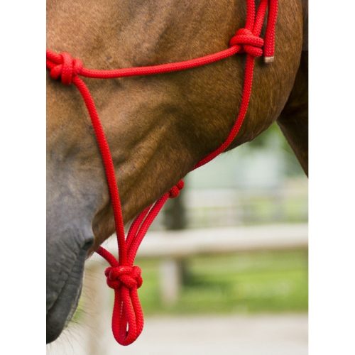 Rope halter Ekkia First knotted brown