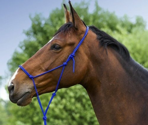 Kötőfék Norton Soft csomózott full fekete