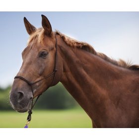 Rope halter Norton Soft Ethological full dark brown