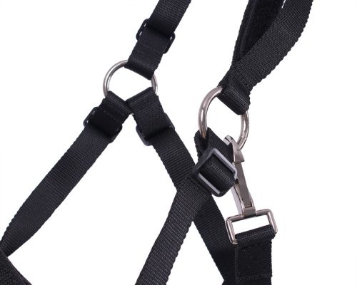 QHP Grazemuzzle pony black