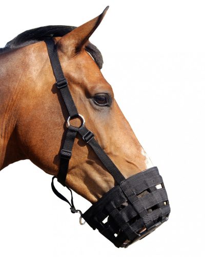 QHP Grazemuzzle cob black