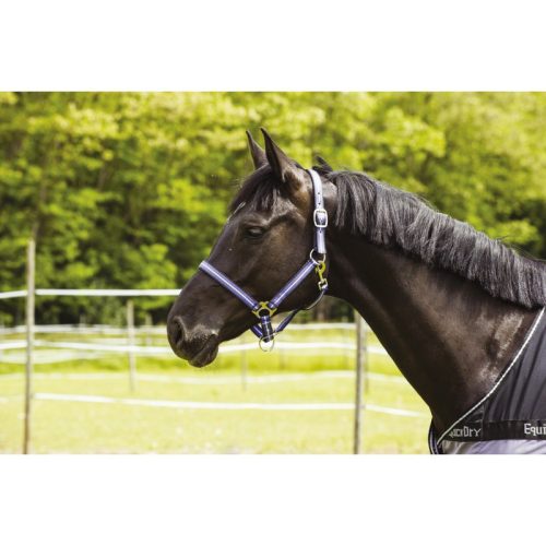 Kötőfék Norton Tri póni barna/pink