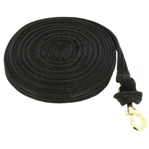 Lunging rein Jumptec padded brown/beige