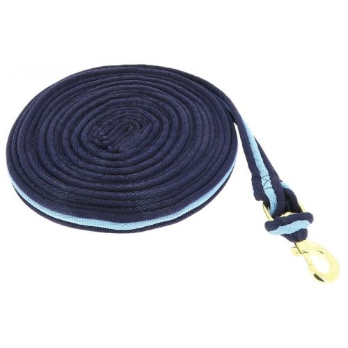 Lunging rein Jumptec padded brown/light blue