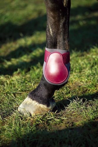 Fetlock boots Norton pony brown/beige