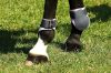 Fetlock boots Norton pony brown/l.green