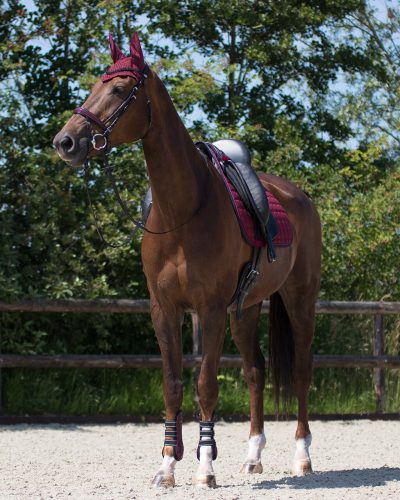 Ear net QHP Florence full burgundy