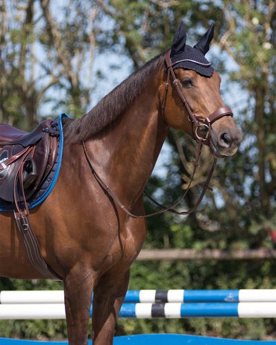 Ear net QHP Florence COB navy