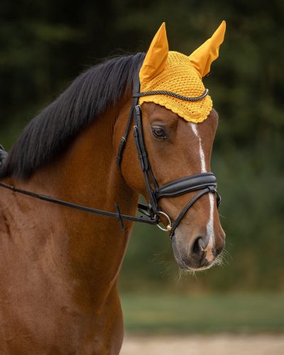 Ear net QHP Florence cob sunflower