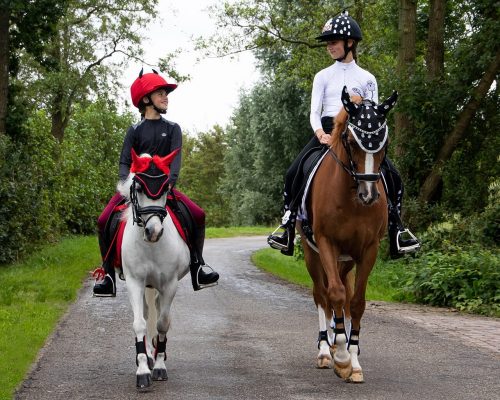 Whip QHP Halloween Devil 65 cm red