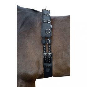 Girth lunging neoprene cob/full black