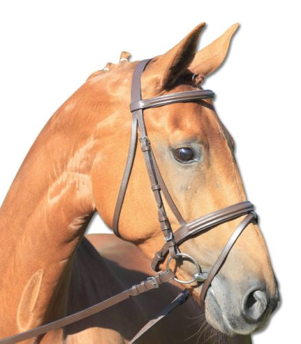 Bridle Star Lifestyle + web reins pony brown