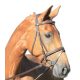 Bridle Star Lifestyle + web reins shety brown