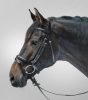 Bridle Star Lifestyle + web reins cob brown