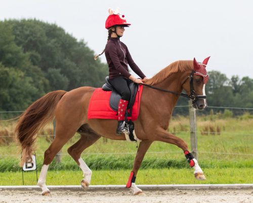 Lovaglózokni 35/38 piros Xmas Rudolph QHP