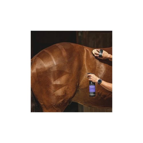 Mane and coat spray Dream Coat CDM 1000 ml