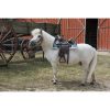 Saddle western Topeka Westride pony