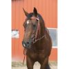 Bridle western Randol's full chestnut