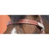 Bridle western Randol's full chestnut